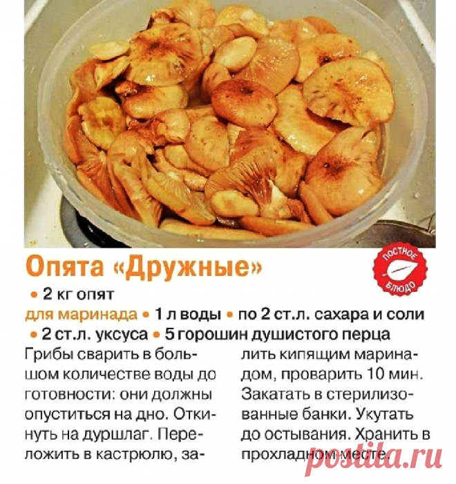 Опята "Дружные" маринованные