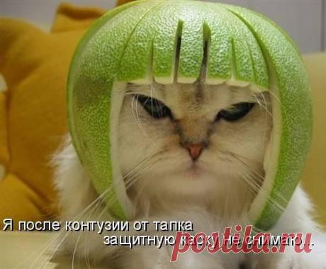 Мой Мир@Mail.Ru