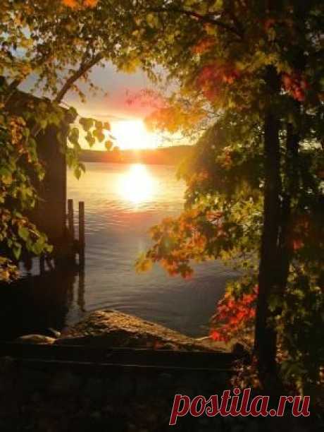 sunrise Search on Indulgy.com