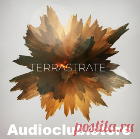 Audivor Terrastrate KONTAKT  | 5,09 GB

Cinematic Hybrid Instrument

Streamlined for music creation, designed to inspire.
A groundbreaking UI and dynamic sounds make it an essential tool in the modern composer's arsenal.

Limitless creative possibilities
TERRASTRATE’s hybrid engine, assignable modulators, and extensive FX controls are built to deliver dynamic, inspiring results.