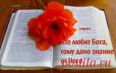 Случайный цветок на холсте бытия,набросок бессмертия на грунте мгновений,наивный отказ от рутины сомнений.Отлучка - от горя твоя и моя.На сотни вопросов - простейший ответ.Не слышно цветок шелестит лепестками,беспечное небо сияет над нами и плещет на землю заоблачный свет..Под ним исчезают печали и беды,разлуки тоска и долгов толчея.И только цветет невредим и не видим отважный цветок на холсте бытия(Алексеева) (волшебная страна книг к.н.)