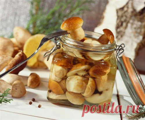 Маринованные грибы – самые простые рецепты / Простые рецепты