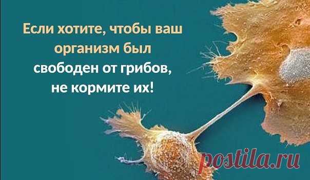 (48) Одноклассники