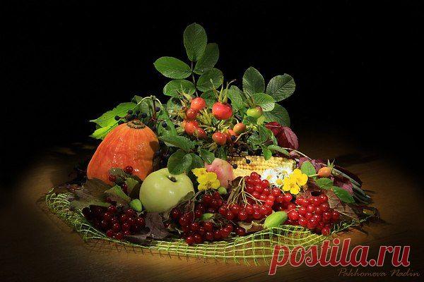 Не грустите, лучше улыбнитесь.
Осень - это чудная пора!
Осенью-попробуйте влюбитесь!

Щедрая осень..
 1
 2
Кузьмин Владимир — Осень Нашей Любви