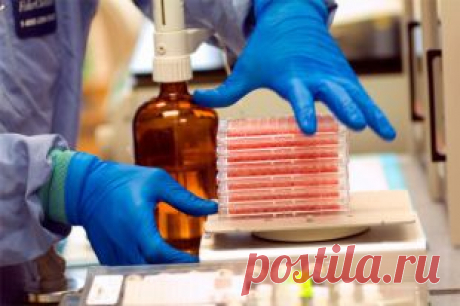 Опухоль, я тебя знаю! Новые подходы в диагностике и лечении рака легкого | Здоровая жизнь | Здоровье | Аргументы и Факты