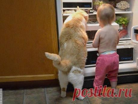 Настоящий друг плохому не научит!