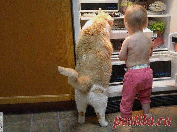 Настоящий друг плохому не научит!