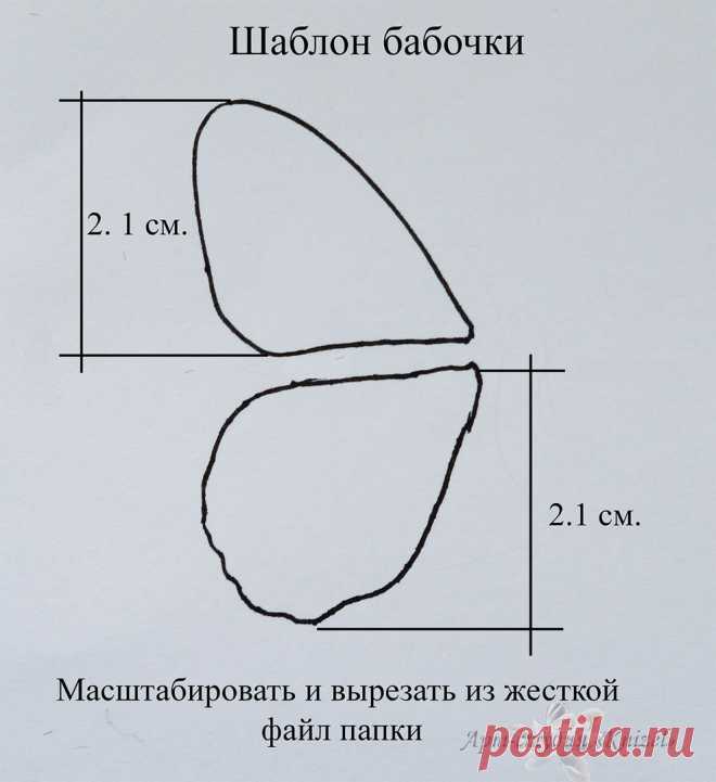 Бабочка