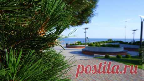 Отдых у Балтийского моря в Зеленоградске