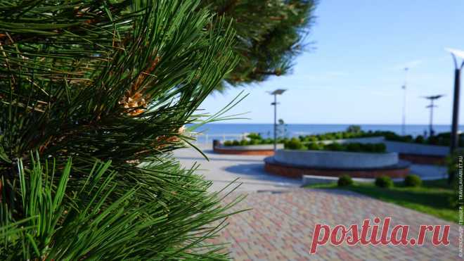 Отдых у Балтийского моря в Зеленоградске
