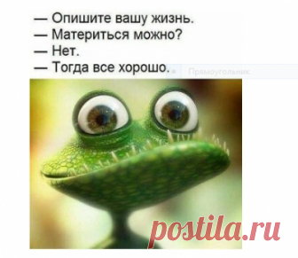 Что делает женщина: 1. Проснувшись...... - запись пользователя lenkapenka (только на 
