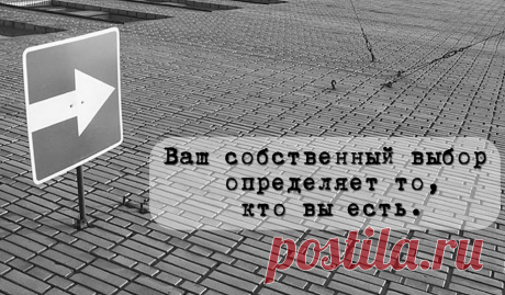 Цитаты, которые сделают вас мудрее / Surfingbird знает всё, что ты любишь