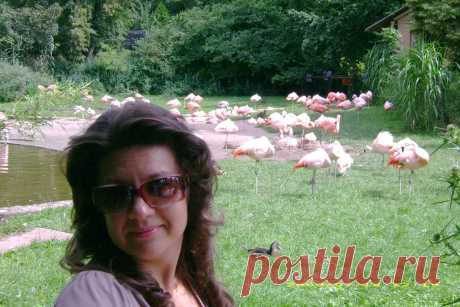 Прогулки по Праге на общественном транспорте и пешком без проф.экскурсий, но с рассказами, показами, фотосессией и ответами на все вопросы - 20 евро/час с чел. либо 100 евро/день за компанию от 2 человек: встреча и проводы к Вам в отель, квитанция об оплате перед выездом на прогулку.