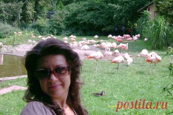 Прогулки по Праге на общественном транспорте и пешком без проф.экскурсий, но с рассказами, показами, фотосессией и ответами на все вопросы - 20 евро/час с чел. либо 100 евро/день за компанию от 2 человек: встреча и проводы к Вам в отель, квитанция об оплате перед выездом на прогулку.