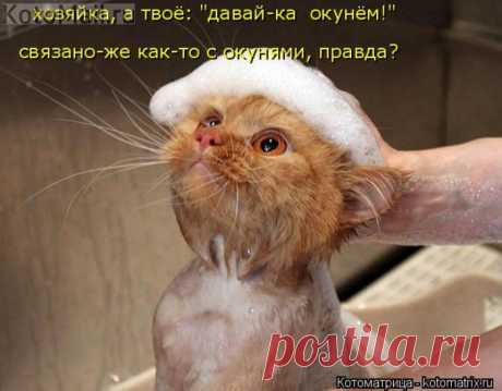 &quot;ОкунЁм&quot;-от &quot;окуня&quot;?