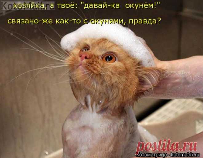 "ОкунЁм"-от "окуня"?