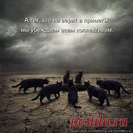 Мордатый нянь (котоматрица)