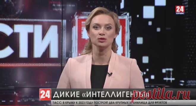 Стадо лесных кабанов облюбовало парк у Ливадийского дворца Дикие «интеллигенты». Стадо лесных кабанов облюбовало парк у Ливадийского дворца. Около 10 особей, среди которых секач приходят на территорию каждый день уже несколько недель. Кабаны ведут себя мирно. Ищут в этих местах пропитание – на месте много желудей.