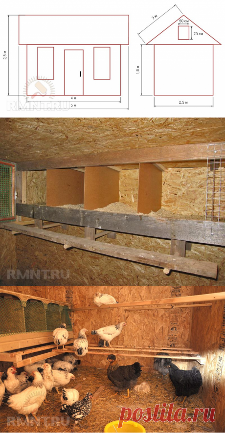 Как построить курятник своими руками: чертежи и фото RMNT.RU