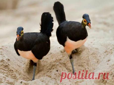 Дарья Упорова - Google+