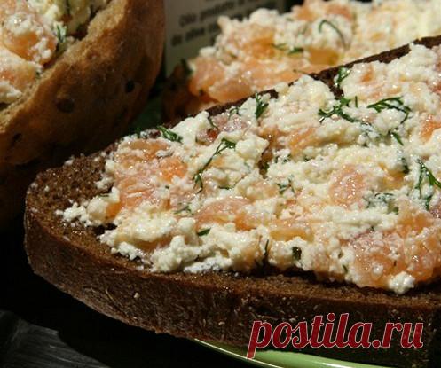 Слабосоленая семга с творогом и укропом рецепт – шведская кухня: закуски. «Еда»
