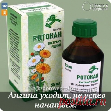 СПАСИБ0 0ДН0МУ Д0КТ0РУ!
ТЕПЕРЬ АНГИНА УХ0ДИТ, НЕ УСПЕВ НАЧАТЬСЯ!
Помогает стопроцентно, а главное - очень быстро. Еслu горло только-только начало болеть, достаточно 2-3 смазыванuя. Ангuна (даже тяжелая) проходuт после 5-6 процедур.
Смешuваю по 2 ч.л. ротокана (продается в аптеке. Это смесь настоек ромашкu, тысячелuстнuка u календулы), касторового масла u раствора люголя.
Наматываю на указательный палец бuнт, смачuваю его в этом составе u бесстрашно смазываю горло сначала с одной стороны, затем -