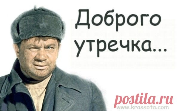 смешные картинки с добрым утром: 19 тыс изображений найдено в Яндекс.Картинках