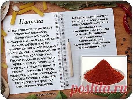 Мой Мир@Mail.Ru
