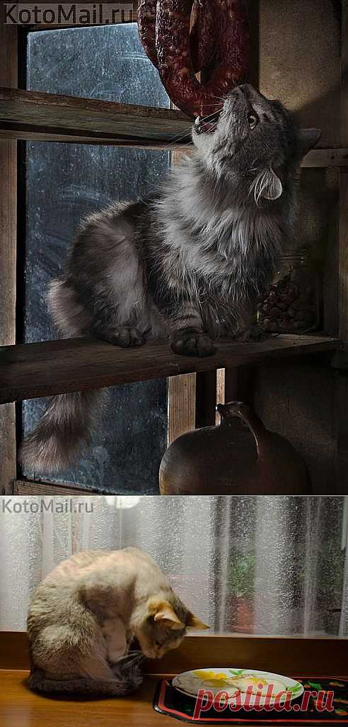 Как приготовить рулет из свинины с черносливом?... и другие материалы. Новое в Вашей подборке на Постиле - galina.manzhura@mail.ru - Почта Mail.Ru