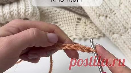 10000000_189440160336461_5471439926932938079_n.mp4