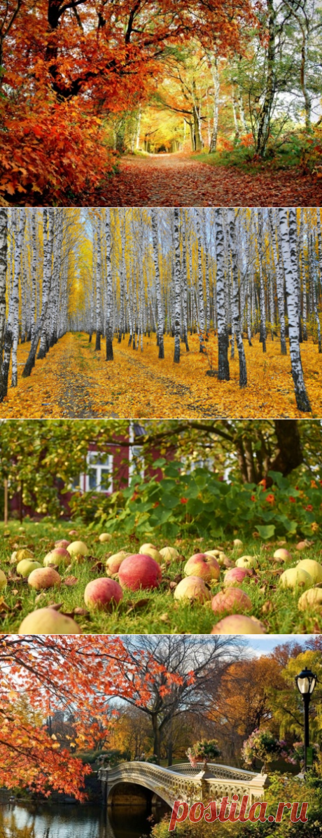 Осень на фото. С грустью и любовью