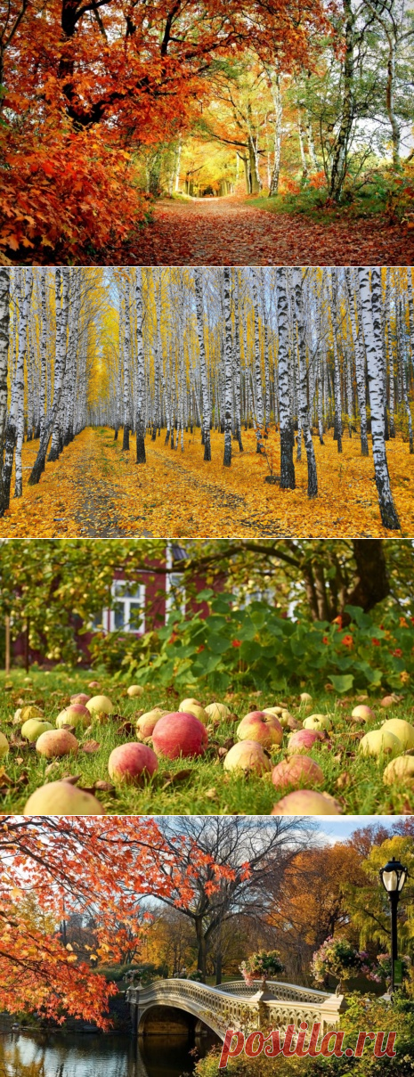 Осень на фото. С грустью и любовью