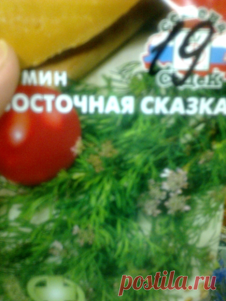 Покупки для аптечной грядки - Садоводка