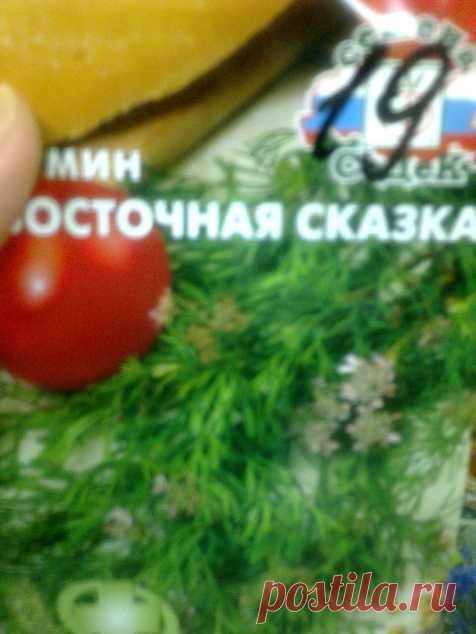 Покупки для аптечной грядки - Садоводка