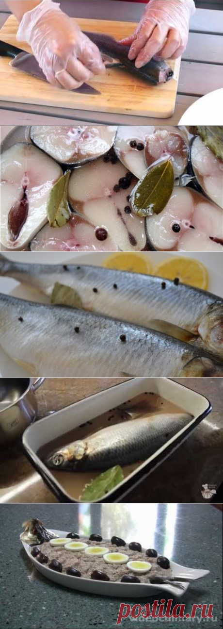 1 непрочитанный чат