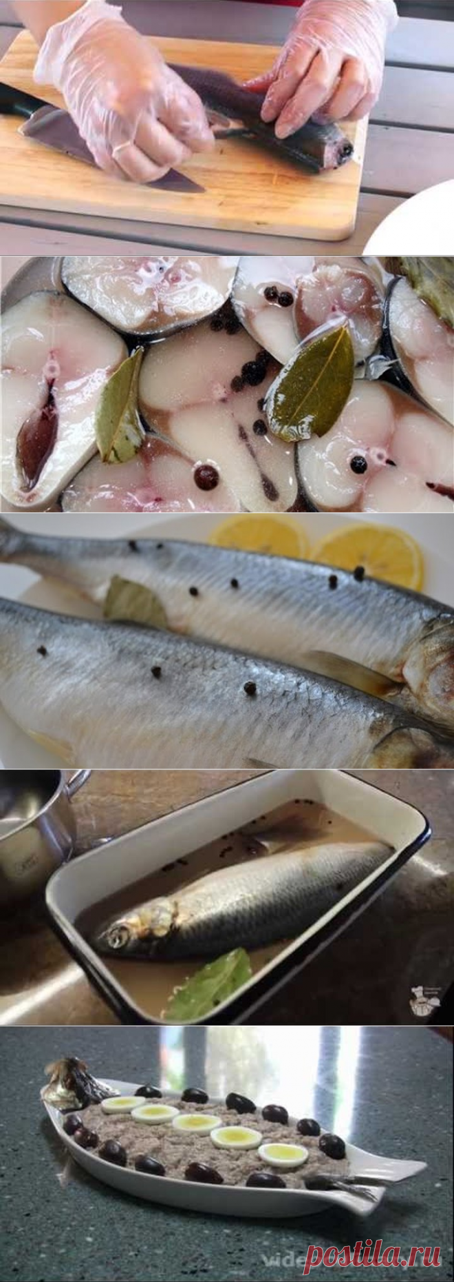 1 непрочитанный чат