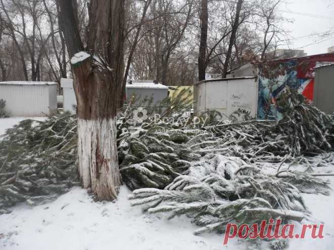 Что делать с новогодней елкой после Нового года