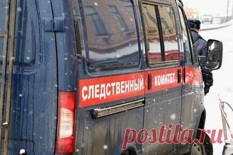 Подросток приставал к восьмилетней россиянке и попал под следствие. В Санкт-Петербурге 16-летнего гражданина Узбекистана обвинили в домогательствах по отношению к восьмилетней девочке. 29 ноября фигурант заманил школьницу в техническое помещение дома на проспекте Ветеранов и начал приставать. По факту произошедшего возбудили дело по пункту «б» части 4 статьи 132 УК РФ.