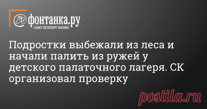 В Новосибирской области подростки выбежали из леса на базу палаточного лагеря и начали палить в небо из ружей.