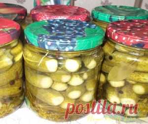 Маринованные огурцы - пошаговый рецепт с фотоКулинарные рецепты