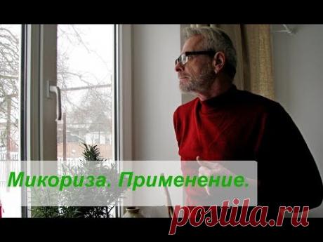 Микориза.  Применение
