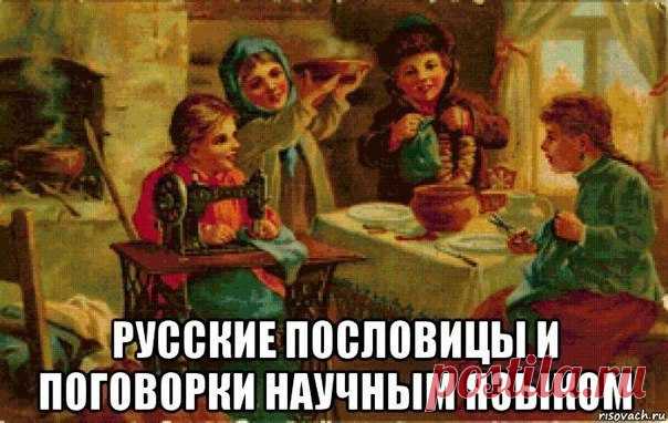 Русские пословицы и поговорки научным языком 