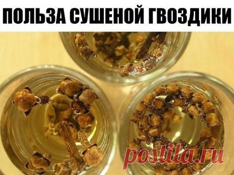 В обязательном порядке жую сушеную гвоздику! Специально зашла к врачу произнести слова благодарности.

Лечебные свойства гвоздики широко используются в китайской медицине. Эта душистая специя способна вылечить множество болезней благодаря уникальному составу. В гвоздике содержится провитамин А (бета-каротин), витамины группы В, витамины С, Е, омега-3 жирные кислоты, эфирное масло и различные минералы.

Состав пряности и правда впечатляющий, все вещества работают! Благодаря...
