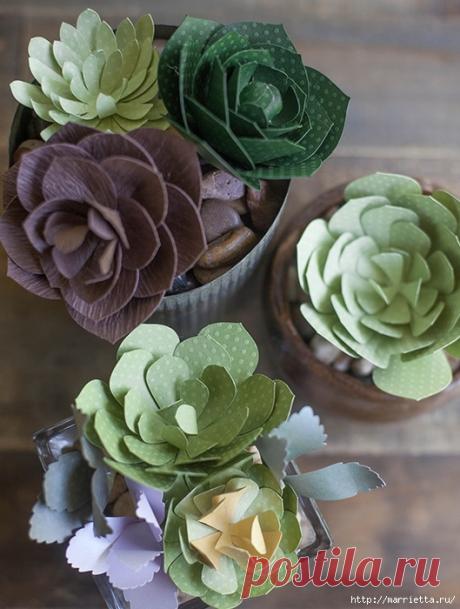 Суккуленты из бумаги. Шаблоны для распечатки