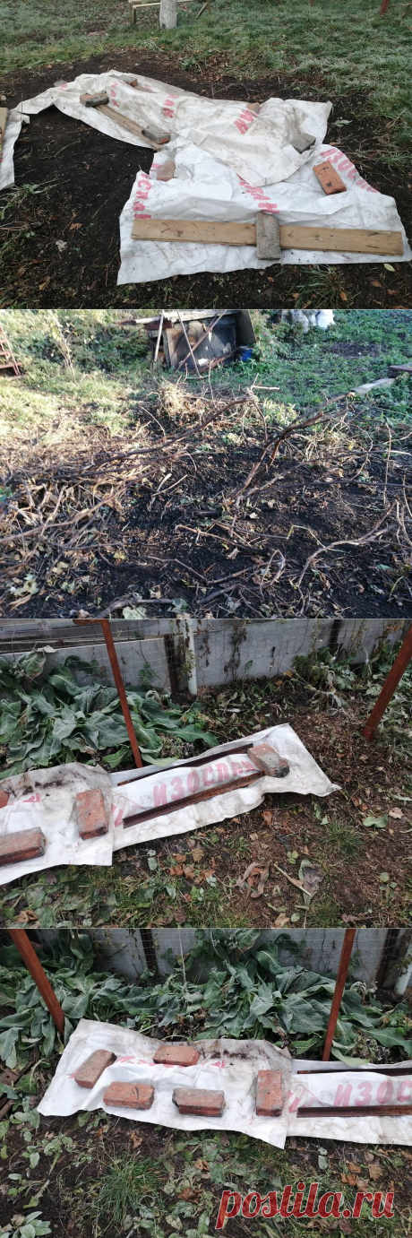 Как укрыть виноград на зиму: сроки и способы укрытия винограда