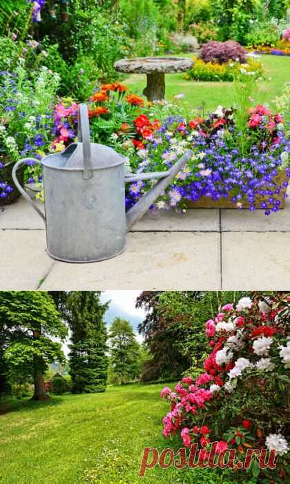 Теплые цвета лучше всего располагать на переднем плане цветника, поскольку визуально они приближают предметы. Используя свойство прохладным тонов "удаляться" от наблюдателя, можно зрительно расширить пространство, высадив голубые цветы на заднем плане композиции. Если же вы планируете привлечь внимание к определенной части сада, отдайте предпочтение белым цветам... / Каким должно быть цветовое решение для сада - Статьи - Недвижимость Mail.Ru