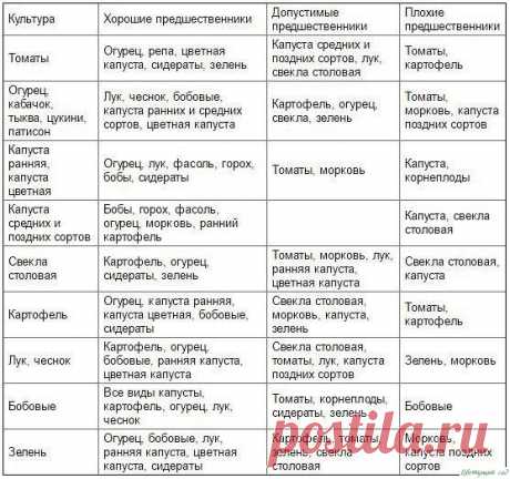 Таблица чередования посевов овощей в огороде — Садоводка
 ПОДКОРМКИ ОВОЩЕЙ