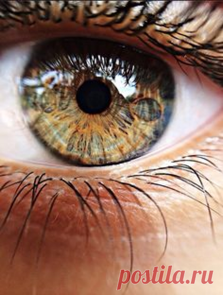 1) Eye lashes are creepy up close. 2) I want to get a picture like this of everyone in my family.