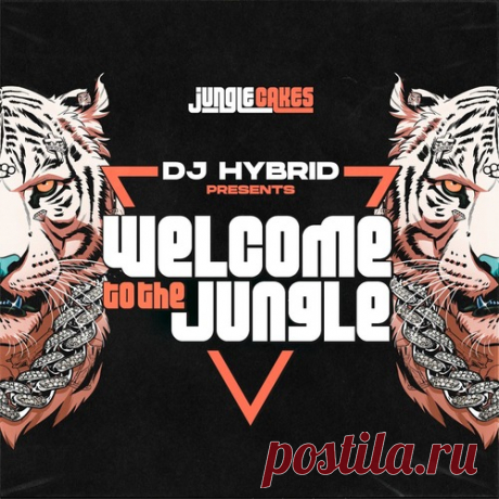 VA - DJ Hybrid Presents: Welcome To The Jungle free download mp3 music 320kbps