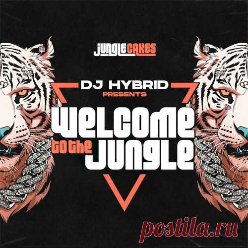 VA - DJ Hybrid Presents: Welcome To The Jungle free download mp3 music 320kbps